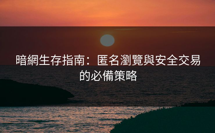 暗網生存指南：匿名瀏覽與安全交易的必備策略