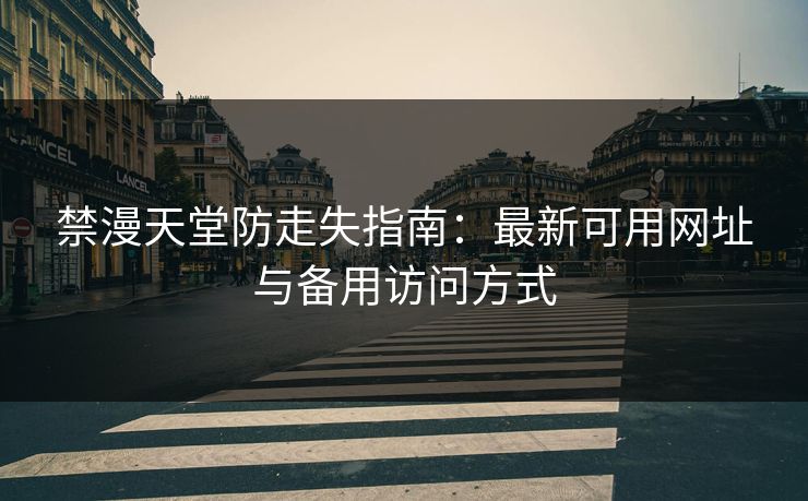 禁漫天堂防走失指南：最新可用网址与备用访问方式