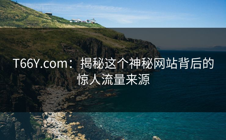 T66Y.com：揭秘这个神秘网站背后的惊人流量来源