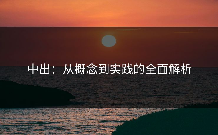 中出：从概念到实践的全面解析