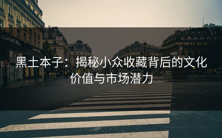 黑土本子：揭秘小众收藏背后的文化价值与市场潜力
