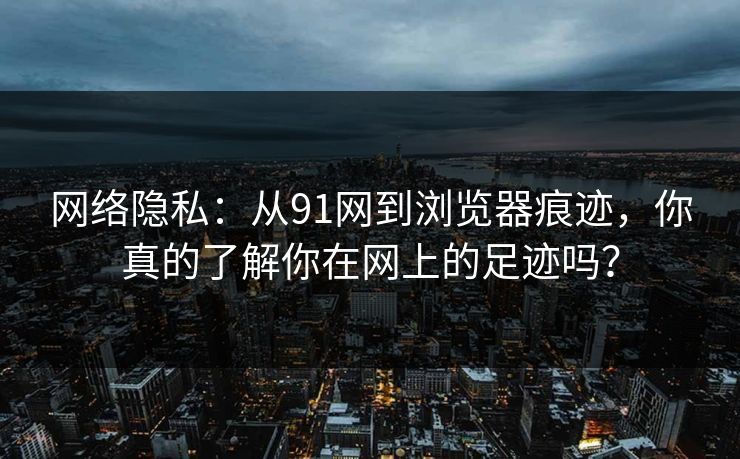 网络隐私：从91网到浏览器痕迹，你真的了解你在网上的足迹吗？  第1张