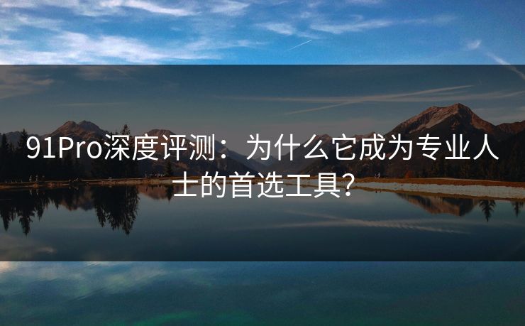 91Pro深度评测：为什么它成为专业人士的首选工具？