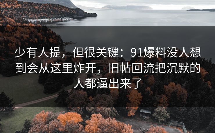 少有人提，但很关键：91爆料没人想到会从这里炸开，旧帖回流把沉默的人都逼出来了